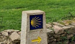 COL·LEGI DE SANTA MARIA | CAMÍ DE SANT JAUME 2024